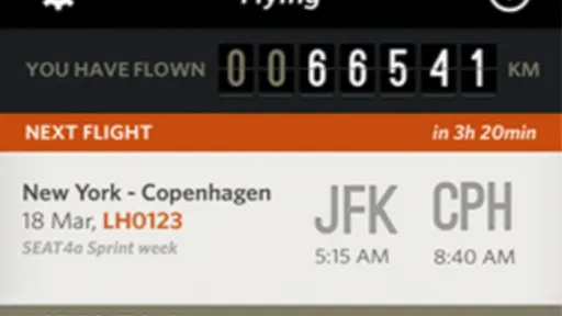 Screen der iPhone-App: "Flying"